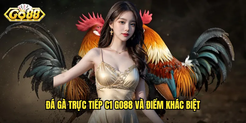 Đá gà trực tiếp C1 Go88 và điểm khác biệt