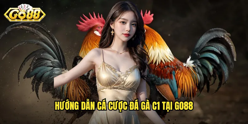 Hướng dẫn cá cược đá gà C1 tại Go88