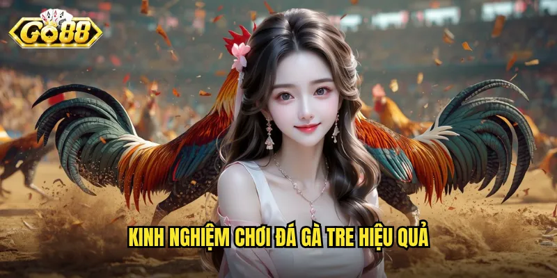 Kinh nghiệm chơi đá gà tre hiệu quả