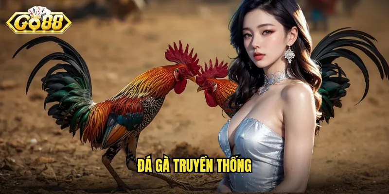 đá gà truyền thống
