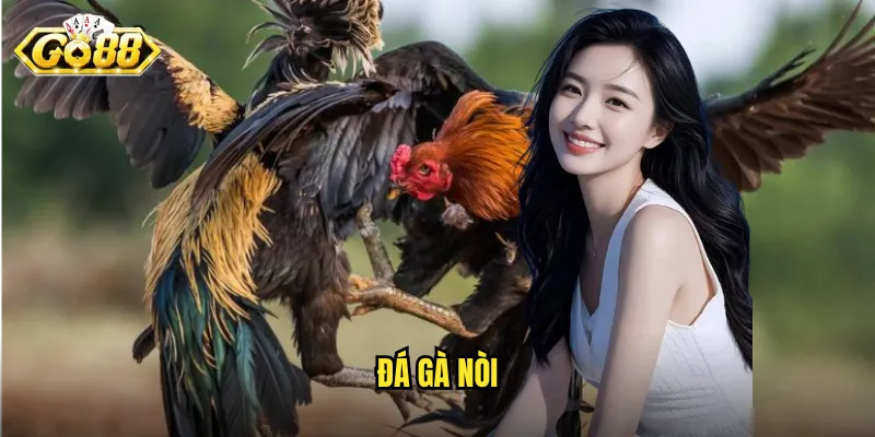 đá gà nòi