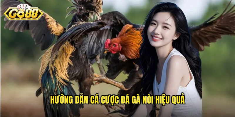 Hướng dẫn cá cược đá gà nòi hiệu quả