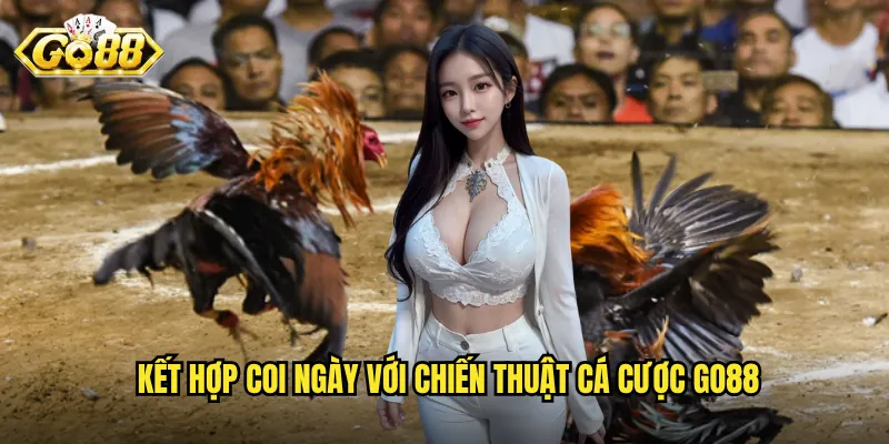 Kết hợp coi ngày với chiến thuật cá cược Go88