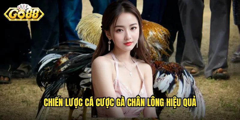 Chiến lược cá cược gà chân lông hiệu quả